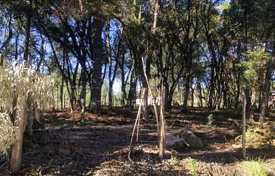 Imagem 2: Terreno em Canela. 1.600m² de Área