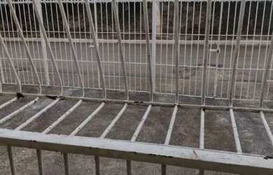 Imagem 6: AP A VENDA EM PAU AMARELO