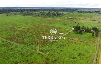 Imagem 4: Fazenda 62 Alqueires - 58 Alqueires Formados em Capim