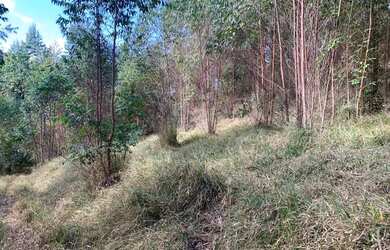 Imagem 9: Vendo terreno com linda vista e acesso a cachoeira no boa vista em igarata