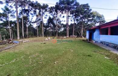 Imagem 3: Chácara à venda, 4.25 Alqueires por R$ 800.000 - Guará - Guarapuava/PR