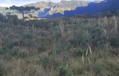 Imagem 4: Terreno para Venda em Alfredo Wagner, FAZENDA BELA VISTA