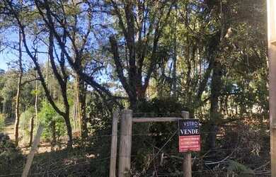 Imagem 3: Terreno em Canela. 1.600m² de Área