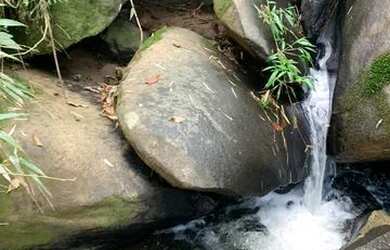 Imagem 6: Vendo terreno com linda vista e acesso a cachoeira no boa vista em igarata