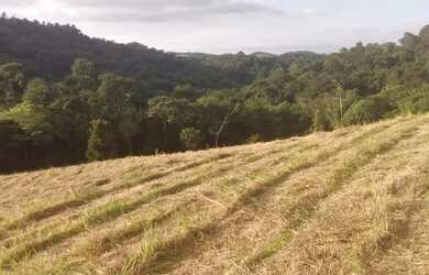 Imagem: O terreno possui 1000m² de Área e está localizado em Rio