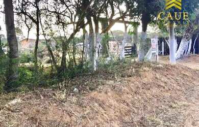 Imagem 4: Baita terreno 2453m², com lindo mato nativo e luz na frente