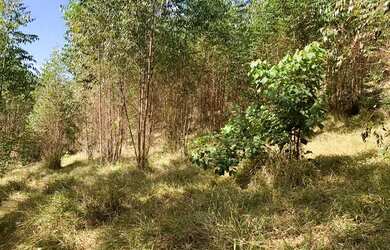 Imagem 15: Vendo terreno com linda vista e acesso a cachoeira no boa vista em igarata