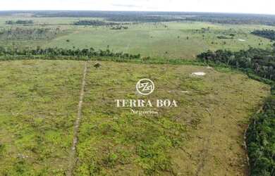 Imagem 8: Fazenda 62 Alqueires - 58 Alqueires Formados em Capim