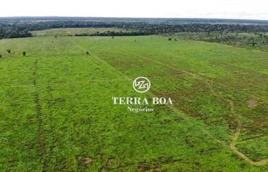 Imagem 5: Fazenda 62 Alqueires - 58 Alqueires Formados em Capim