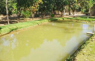 Imagem 14: Linda Chácara em Planaltina-DF