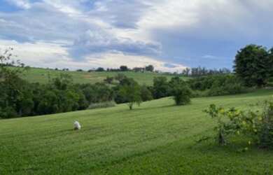 Imagem 9: Paraíso em Porto Feliz. Piscina, ChurrasqueiraeLareira