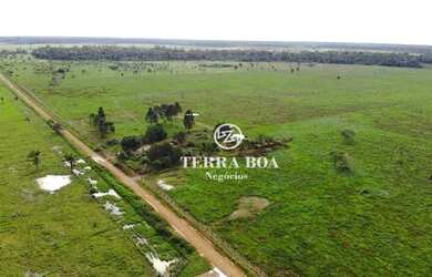 Imagem 2: Fazenda 62 Alqueires - 58 Alqueires Formados em Capim