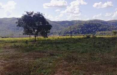 Imagem 2: Vendo granja em Brasilândia 65 hectares FAZENDA ALMÉCEGAS