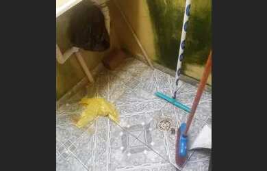 Imagem 4: Casa no Vergel. 1 Banheiroe2 Dormitórios