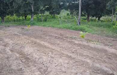 Imagem 6: Vendo terreno. 4.334m² de Área