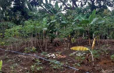 Imagem: A chácara possui 60.000m² de Área e está localizado em