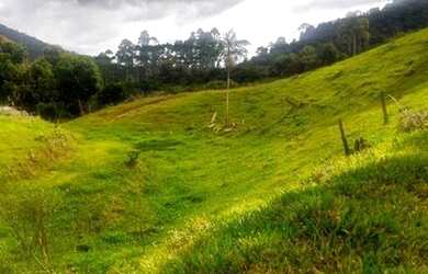 Imagem 8: Fazenda/Sítio/Chácara para venda com 62.500 metros quadrados em Garcia - Angelina - SC
