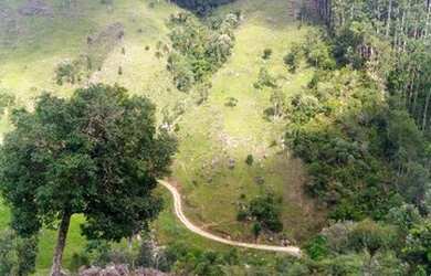 Imagem 11: Fazenda/Sítio/Chácara para venda com 62.500 metros quadrados em Garcia - Angelina - SC