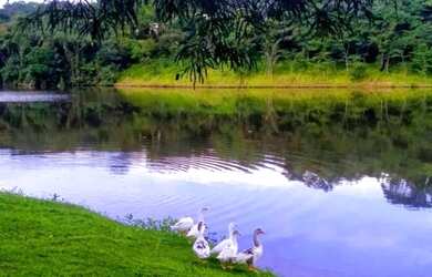 Imagem 5: A oportunidade que você procurava está aqui lotes em Condomínio de...