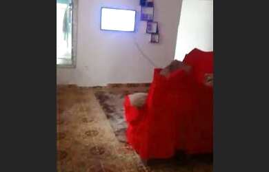 Imagem 2: Casa grande em sao vicente