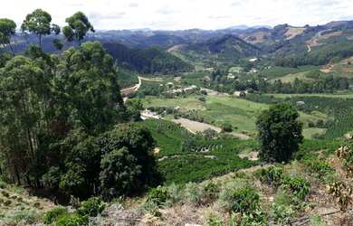 Imagem 3: Terrenos. 250.000m² de Área Privada