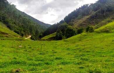 Imagem 13: Fazenda/Sítio/Chácara para venda com 62.500 metros quadrados em Garcia - Angelina - SC