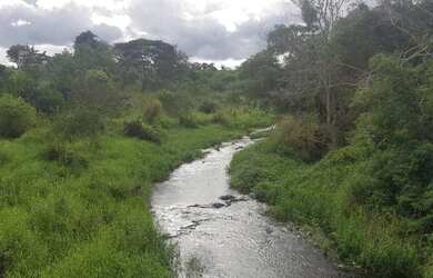 Imagem 9: Fazenda para Venda em Santa Cruz Da Vitória, Zona Rural