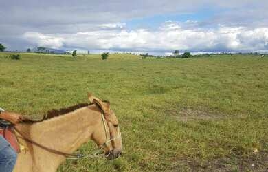 Imagem 13: Fazenda para Venda em Santa Cruz Da Vitória, Zona Rural