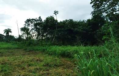 Imagem 6: Terreno. 333m² de Área