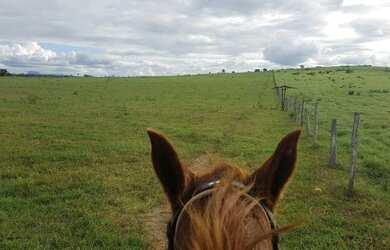 Imagem 14: Fazenda para Venda em Santa Cruz Da Vitória, Zona Rural