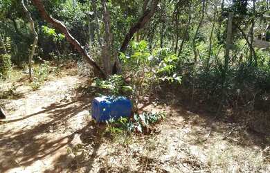 Imagem 2: Chácara 1000 mt. 1.000m² de Área