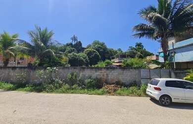 Imagem 2: São Gonçalo - Terreno Padrão - Galo Branco