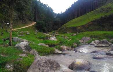Imagem 1: Fazenda/Sítio/Chácara para venda com 62.500 metros quadrados em Garcia - Angelina - SC