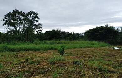 Imagem 7: Terreno. 333m² de Área