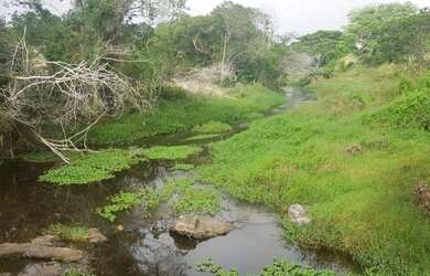 Imagem 10: Fazenda para Venda em Santa Cruz Da Vitória, Zona Rural