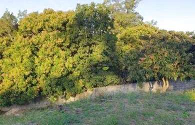 Imagem 9: Terreno à venda, 1950 m² por R$ 477.000,00 - Santa Eliza - Itupeva/SP