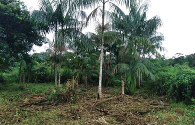 Imagem 5: Terreno. 333m² de Área