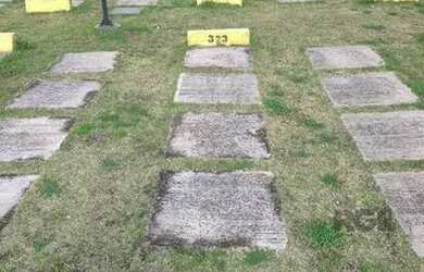 Imagem 7: Apartamento em Cavalhada