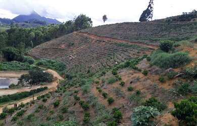 Imagem 4: Terrenos. 250.000m² de Área Privada