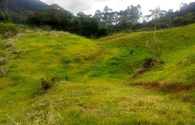 Imagem 7: Fazenda/Sítio/Chácara para venda com 62.500 metros quadrados em Garcia - Angelina - SC