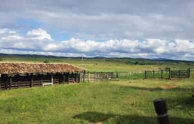 Imagem 5: Fazenda para Venda em Santa Cruz Da Vitória, Zona Rural