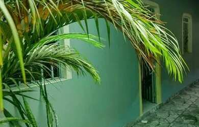 Imagem 1: Apartamentos para aluguel