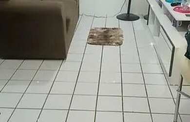 Imagem 11: Boa localização. Churrasqueira, 1 Vaga na garageme2 Dormitórios