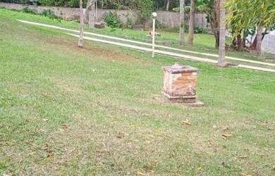 Imagem: O terreno possui 422m² de Área e está localizado em Posse