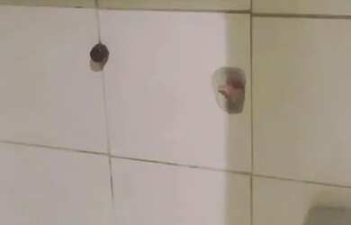 Imagem: Kitnet pra alugar