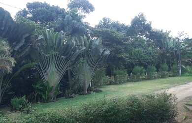 Imagem: O terreno possui 600m² de Área e está localizado em Aldeia