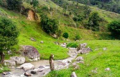 Imagem 12: Fazenda/Sítio/Chácara para venda com 62.500 metros quadrados em Garcia - Angelina - SC