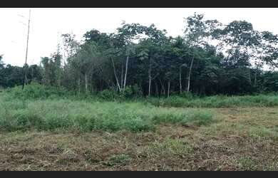 Imagem 3: Terreno. 333m² de Área