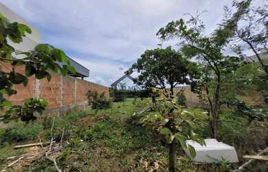 Imagem: O terreno possui 504m² de Área e está localizado em Alto