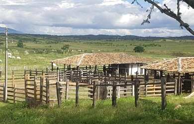Imagem 3: Fazenda para Venda em Santa Cruz Da Vitória, Zona Rural